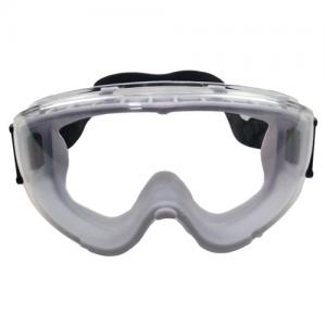 Goggle
