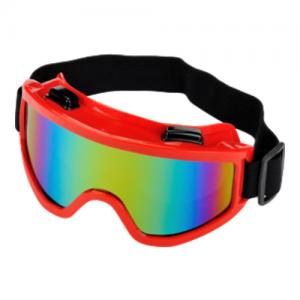 Goggle